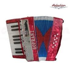 Acordeon para Niño Teclado de 17 Teclas - 8 Bajos. A partir de los 5 años en adelante.