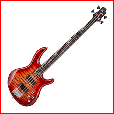 Action DLX de 4 Cuerdas
