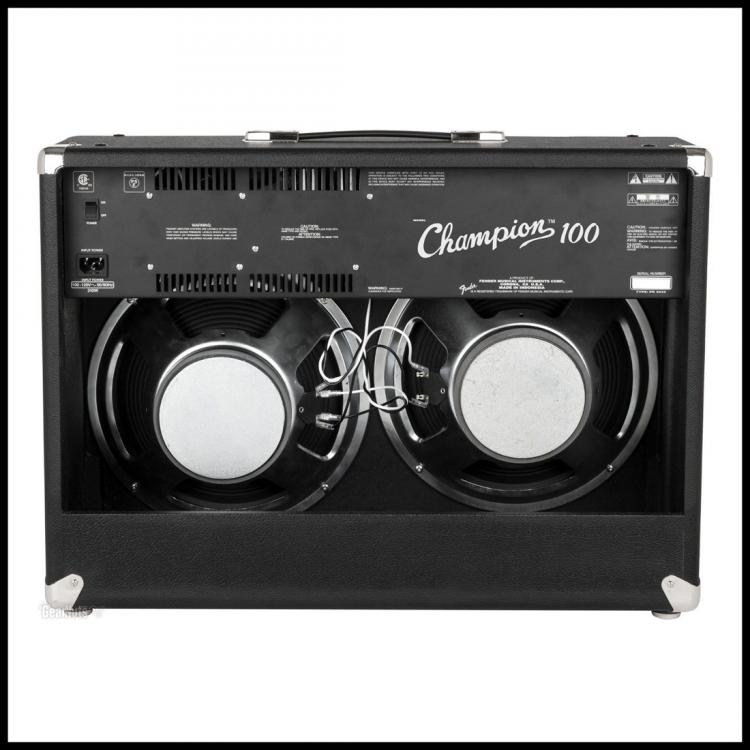 Champion 100w