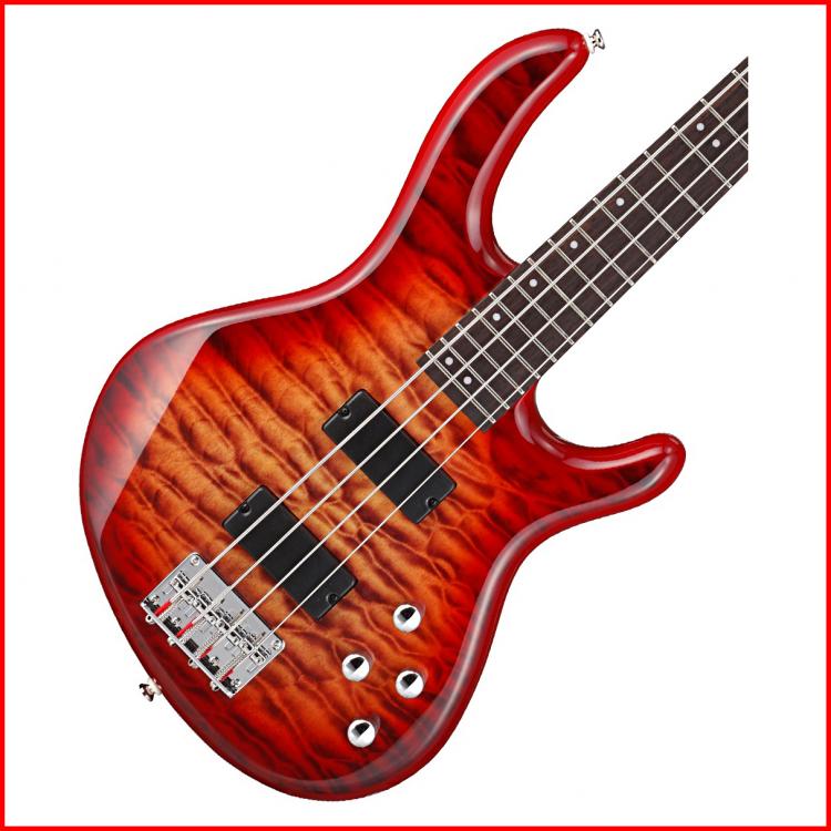 Action  DLX