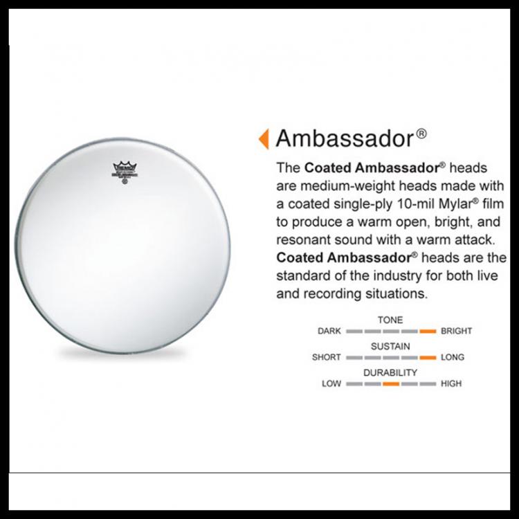 Ambassador Batter 14